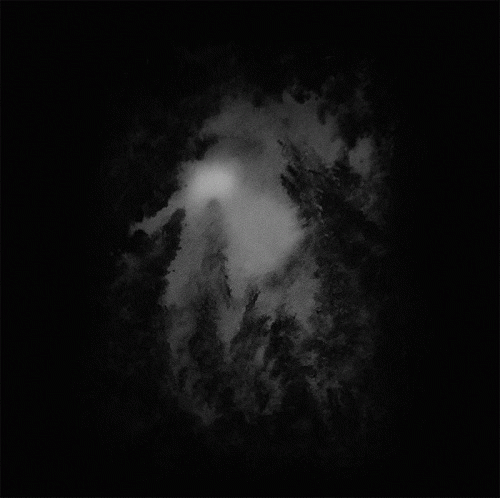 Ostots : Ezer Ezaren Araztasuna